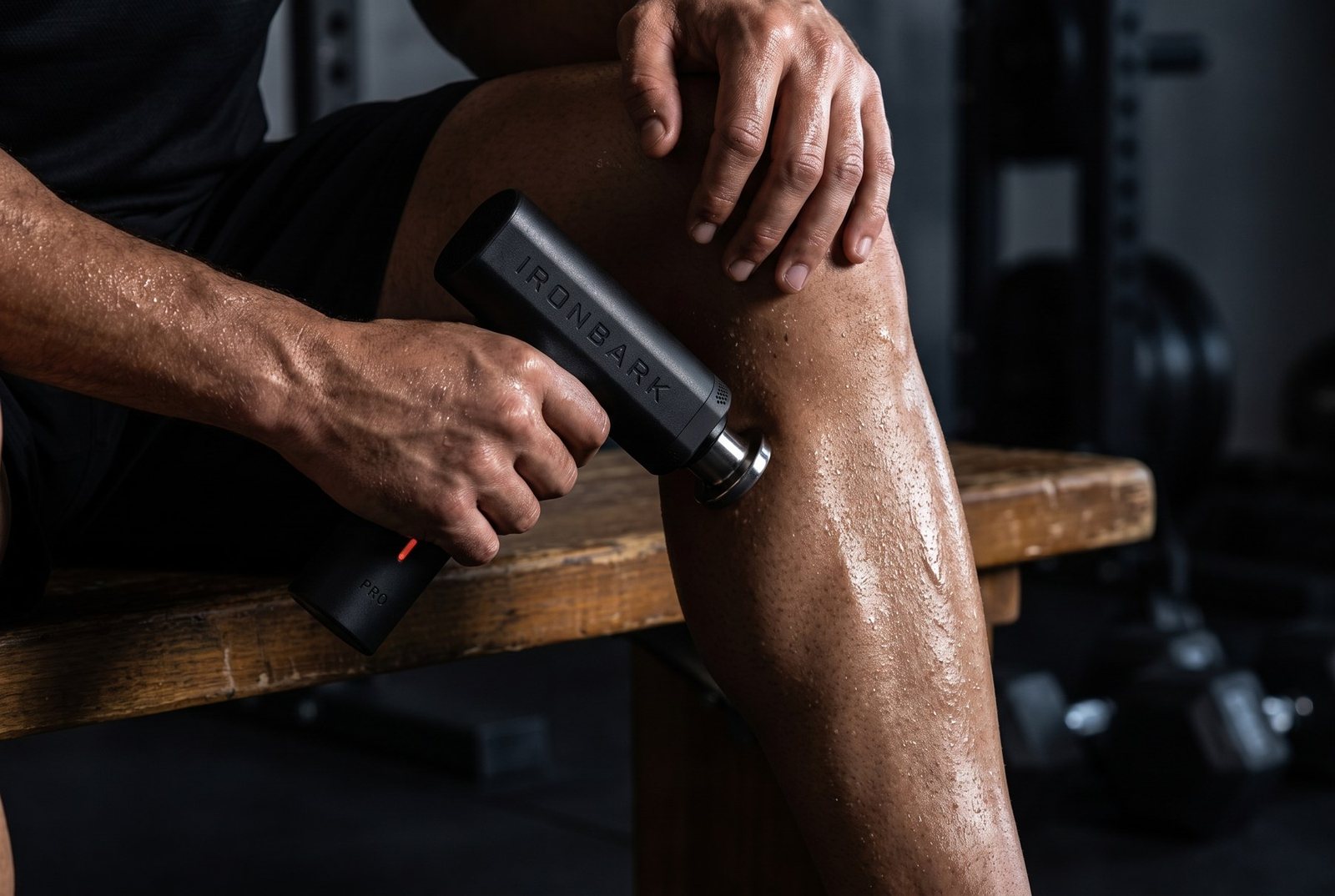 Using the Ironbark Pro on a calf after training